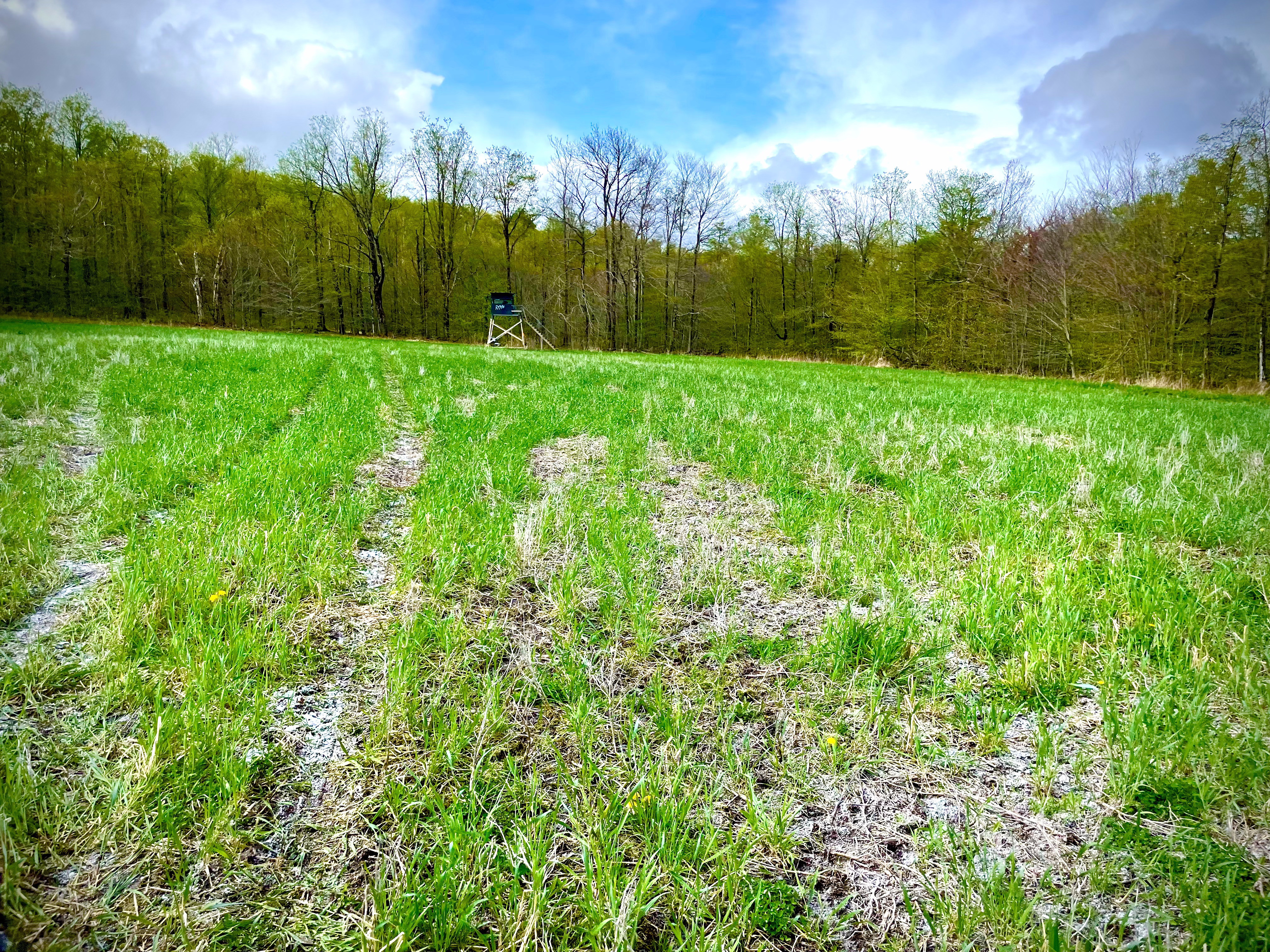 Food Plots